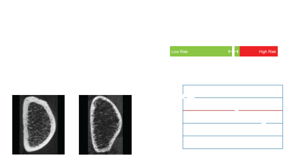 ExampleOssviewPatientSheet2024White ExampleOssviewPatientSheet2024White